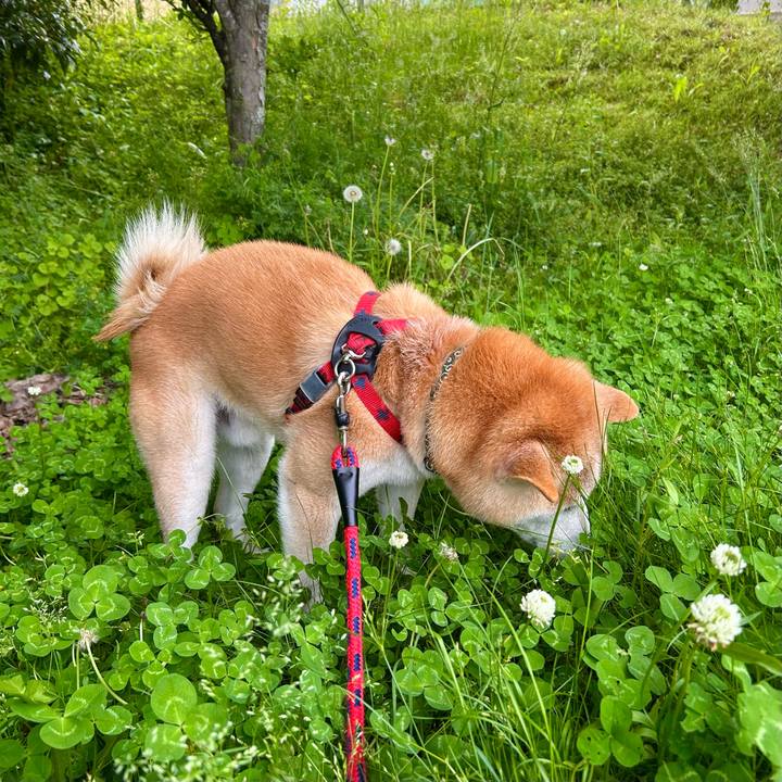 116311ae ea6e 4c9c ab6b be33ca57347d 1747827234498