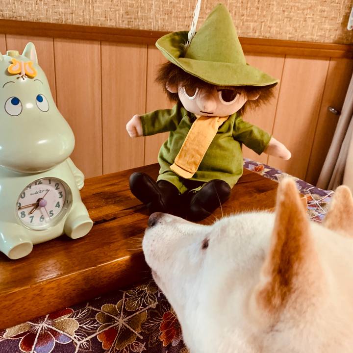 11632e3e 6e23 4ac5 9168 8396b7c553a9 1567810177480