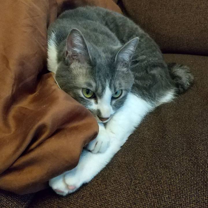 116345b1 52d5 4c27 b587 b9cf02205ca2 1613027802195