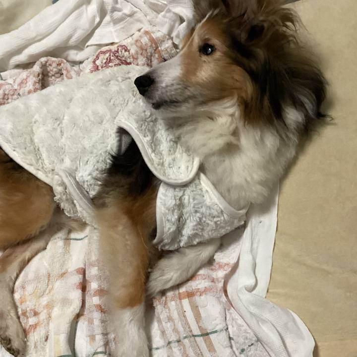 1163594a 36c6 4b82 b70b ffd6bf0ad17f 1646735538929