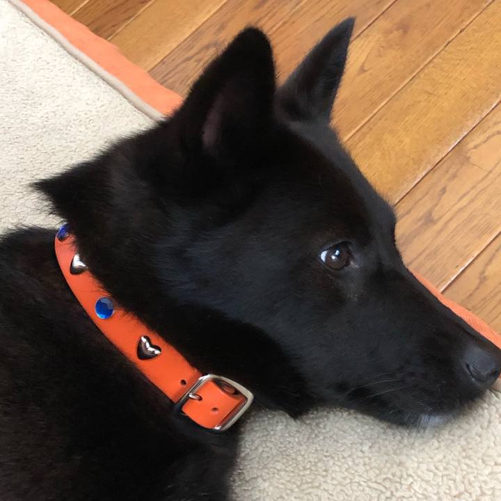 1163642f 8217 4b4a b7c2 59b0b19fdd8b 1589234220164