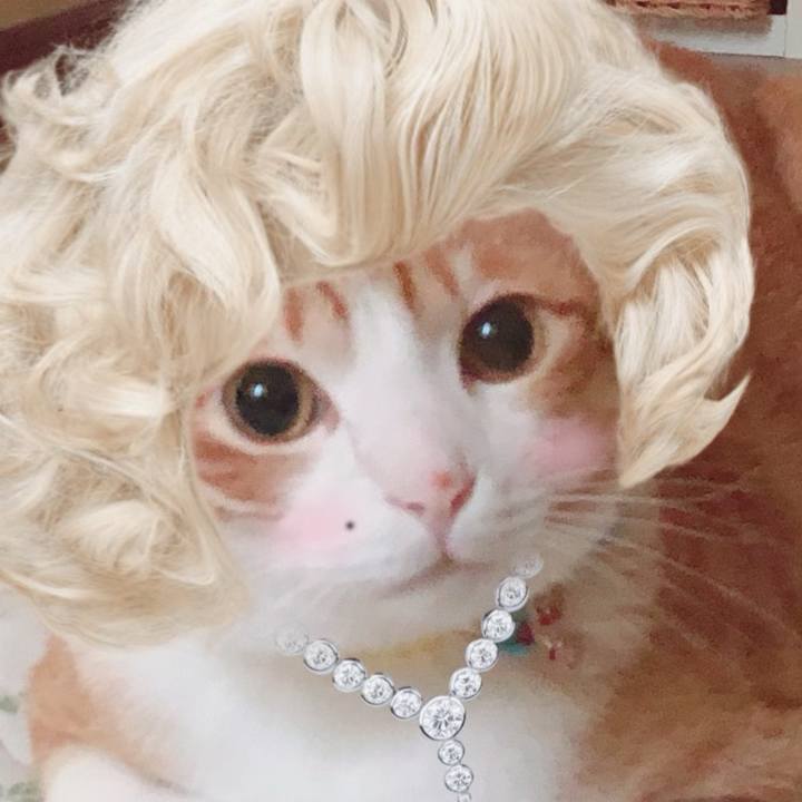 116371b8 7e4f 4544 a4f4 c2bf75a4c36b 1563450469022