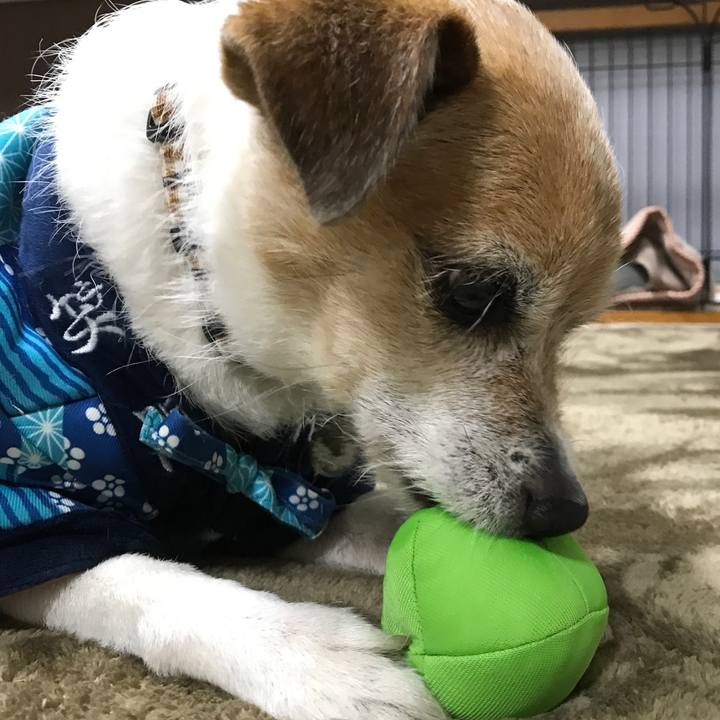 1163a772 391f 4438 aa0b 8a2e3eef73a3 1646709909742