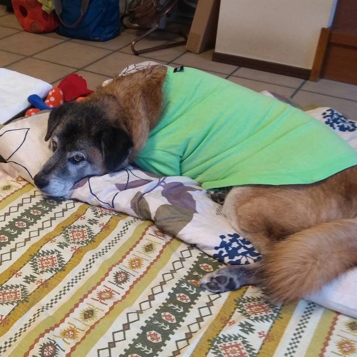 1163b6ae d680 414d 9863 3f6ab93ec664 1570837874686