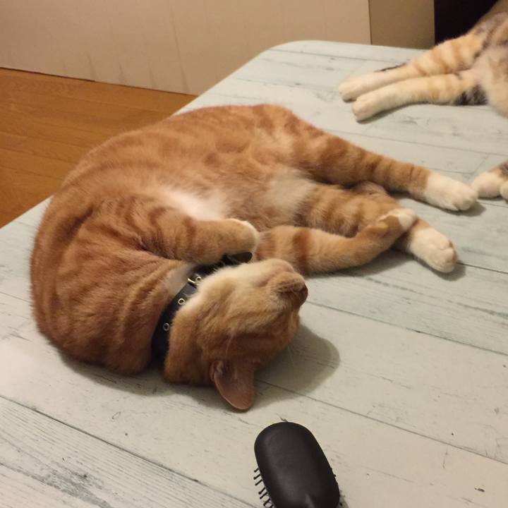 1163ca02 c565 47e5 a469 a5151f9355a4 1564505654810