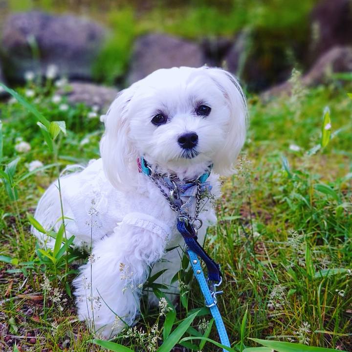 1163e81d afa8 4b16 a987 f39cdb5718a4 1622127258014