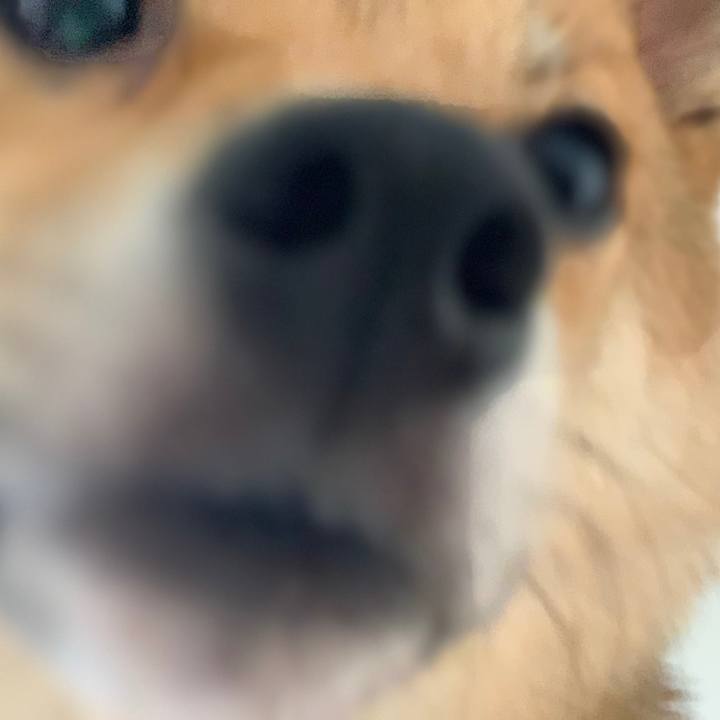 11649262 3636 4571 a227 e0b7e18b41e5 1629855991886