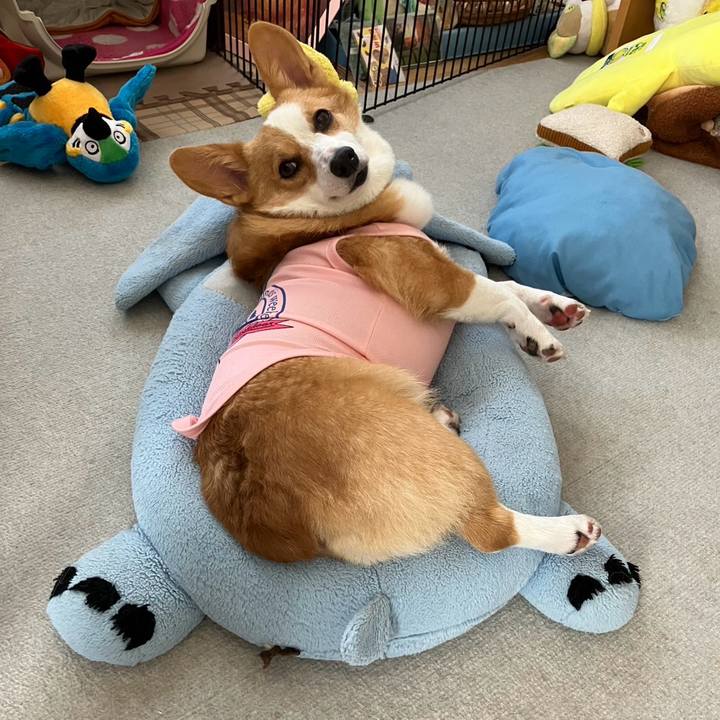 1164c777 8e8c 45ff b849 9aad45fcf251 1757217617010