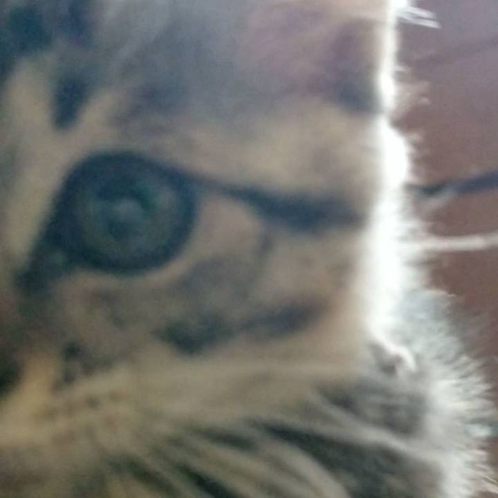 1164d8f2 c35c 44a0 b141 20402c6495eb 1663524226537