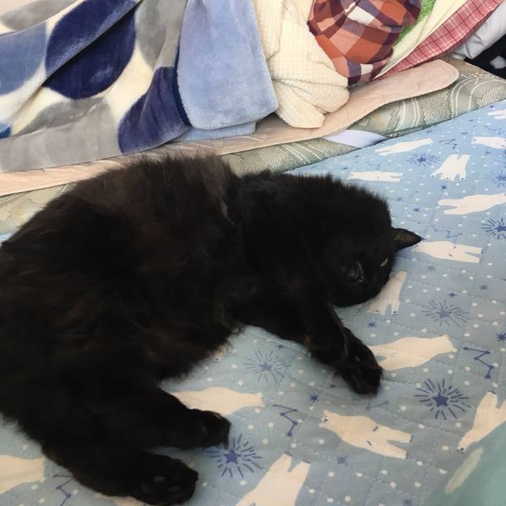 11650633 d8bd 4bfb 88a4 899c617afd07 1558175025240