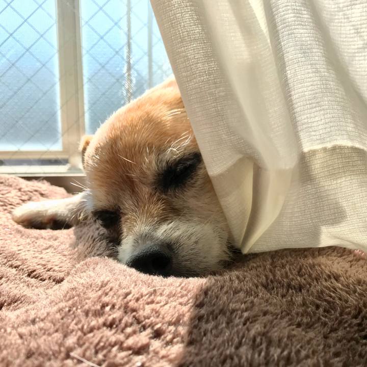 116509de 155a 47b6 97cc 7e197a880b9a 1635383706586