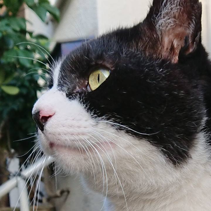 11655f20 700f 4618 8c9c 511fbdc5cd05 1530615699314