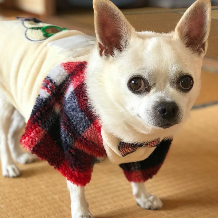 11655feb 357b 49fb b822 4bb7eca398bc 1573735424924