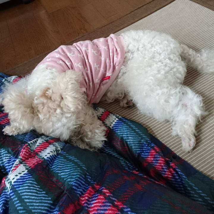 1165d586 2f1a 4f7b a1eb ffa7c79ea671 1508477687674