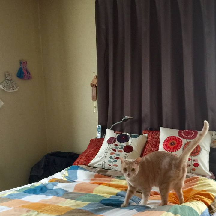 1166292e 93c8 46c8 8b27 35389a8408f1 1569813261664