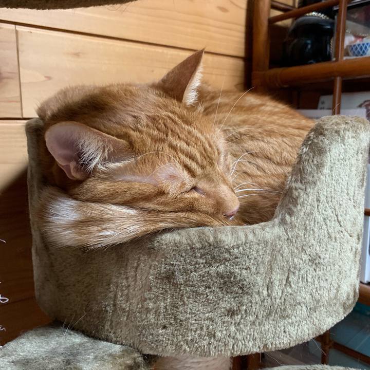 11662e20 cb47 4d84 b7f5 07d9128a1452 1562284701205