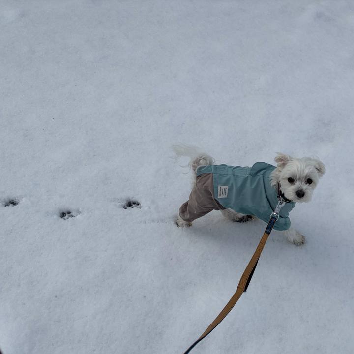 1166362a c3c5 4dc6 a35b 4b568b578d4b 1763880660129