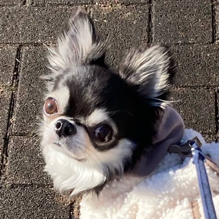 1166646b 9f05 4390 8550 4e149e3a0a0b 1676127736391