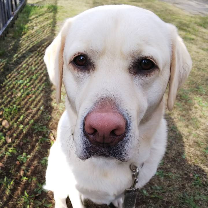 11666541 09d0 48fe 90ca c5384c177bb1 1545792529798