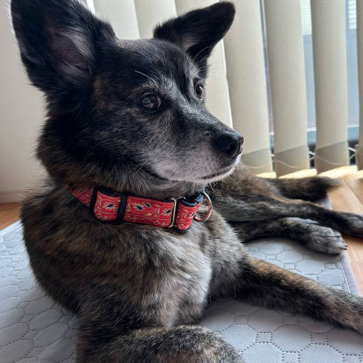 116682c4 2d5c 47ca 8303 32f64e0b7337 1714465962538