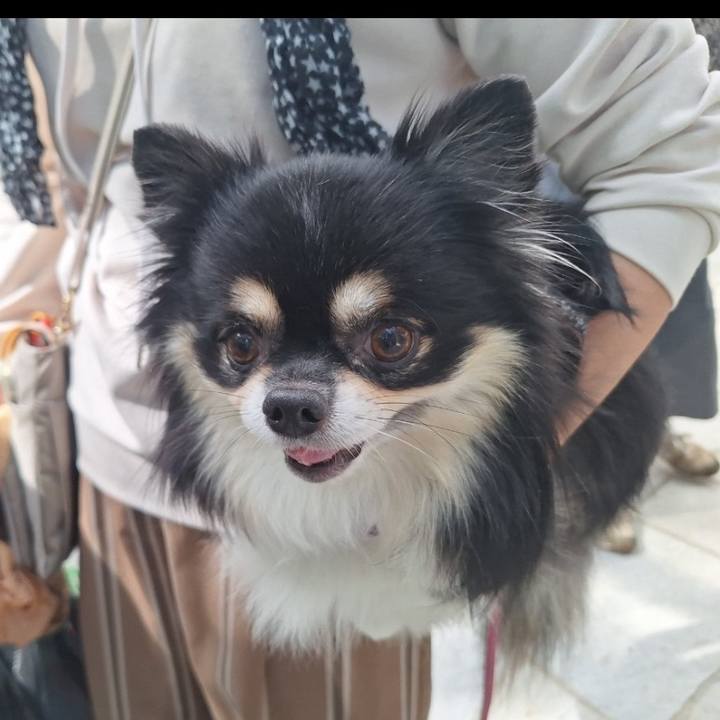 1166f676 6970 47e8 9628 dc7df9bc476a 1763038099283