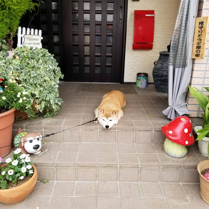 1166f7c5 7a4c 438f af9d 51ccca2a49fe 1596152857691