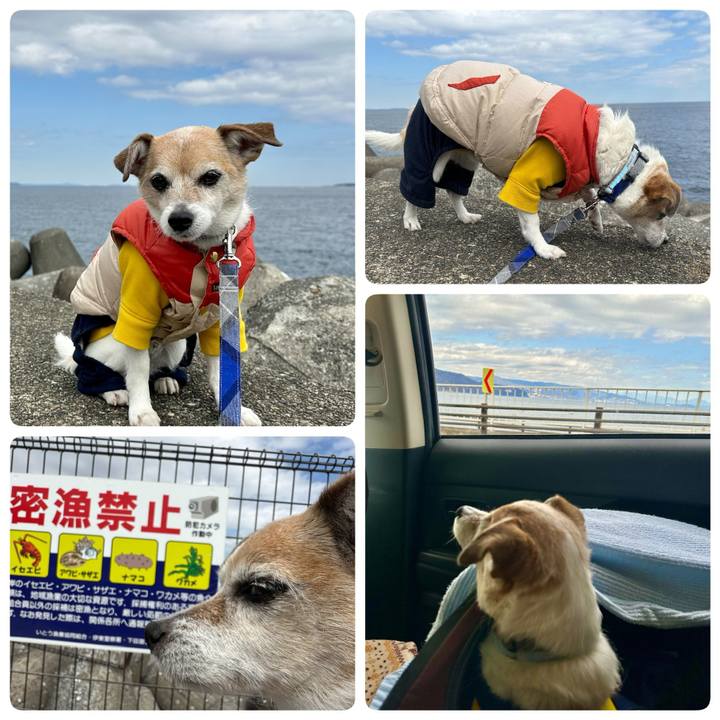 11670440 a532 48f4 bd31 8adf0cb16c32 1678093505934