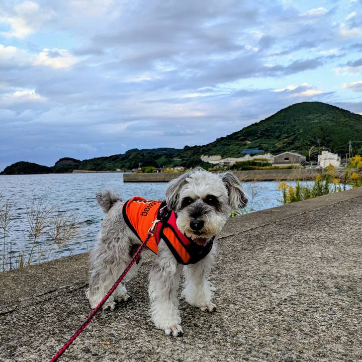 11671fa5 98d8 426a a303 9a5e5c7da9fb 1761469549086