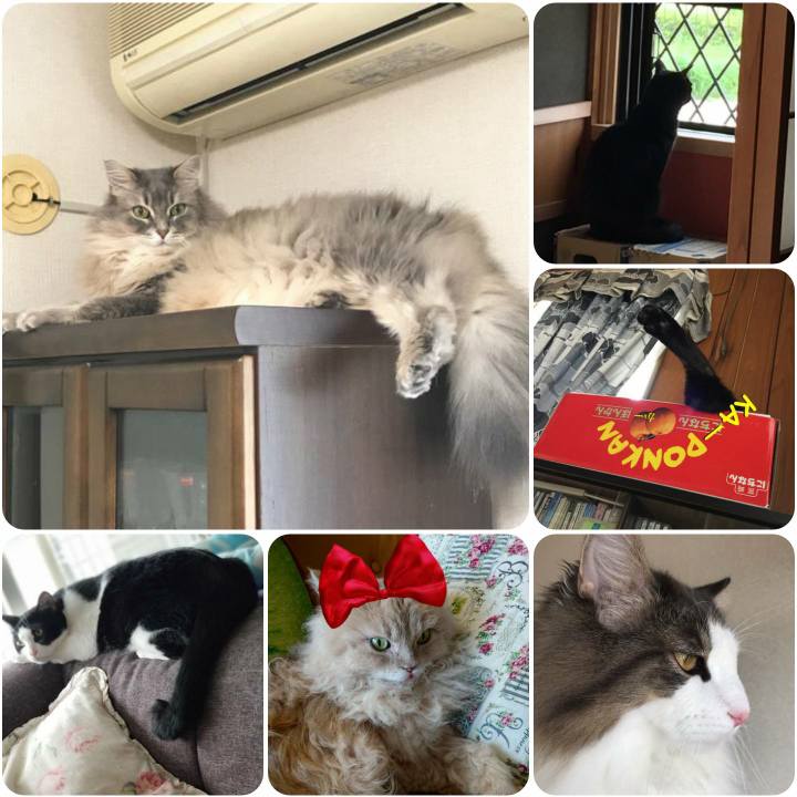 11673042 6649 457c 9e40 d3cb622d250b 1562918061555