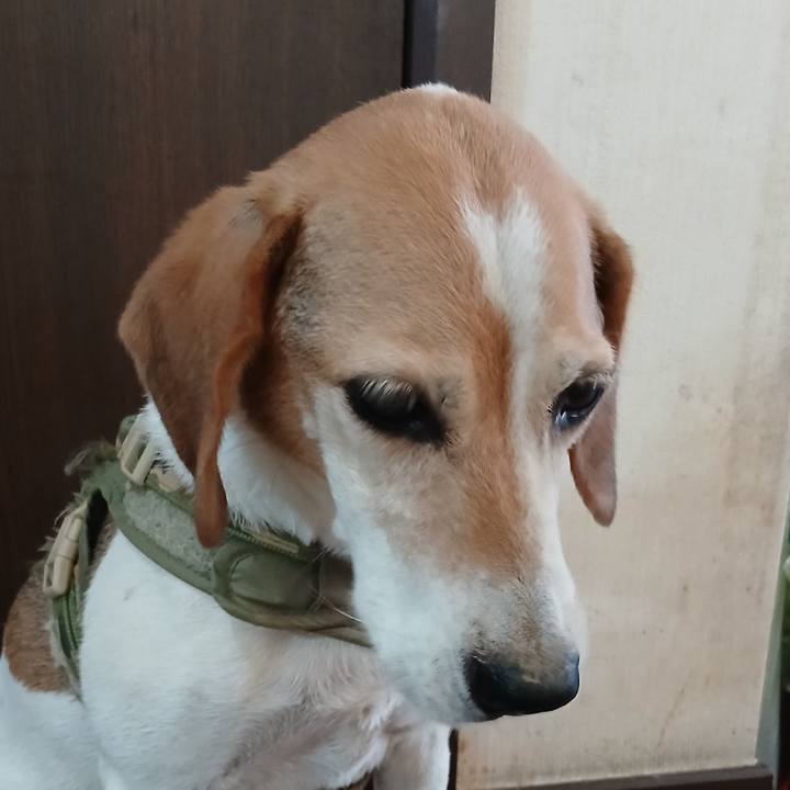 11673eb1 b4da 4a0b bec7 a3546f70ae2d 1753615149794