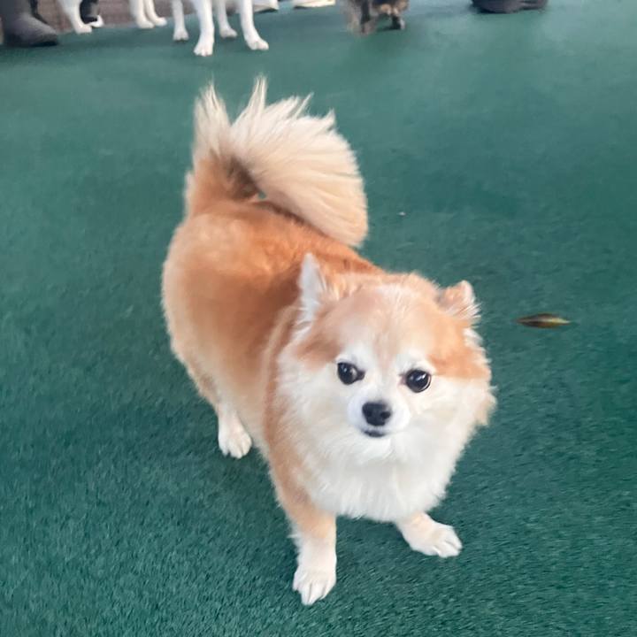 116753ac 0a84 4097 afb3 4503149ca562 1762852317315