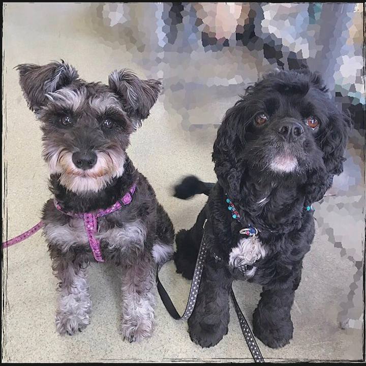 11676e6e 1da1 4318 8ea1 9f836e304bac 1538540772140