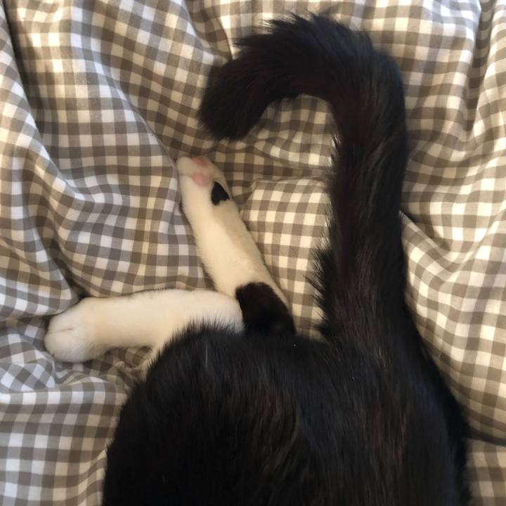 11677592 5f1c 440a 895b 53e462e01ae1 1550433972089