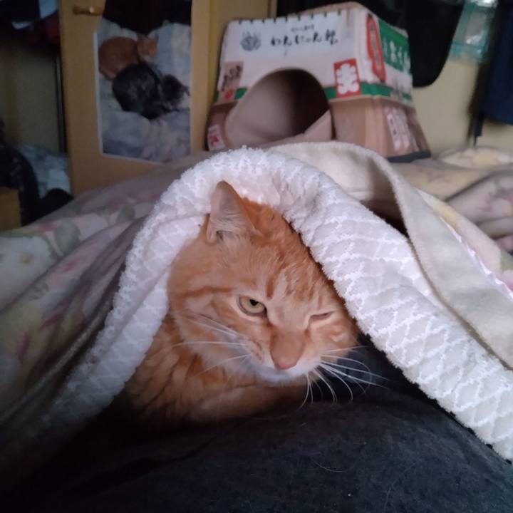 1167e7a8 08e4 47a6 97e2 f6ccb5216f03 1680383321443