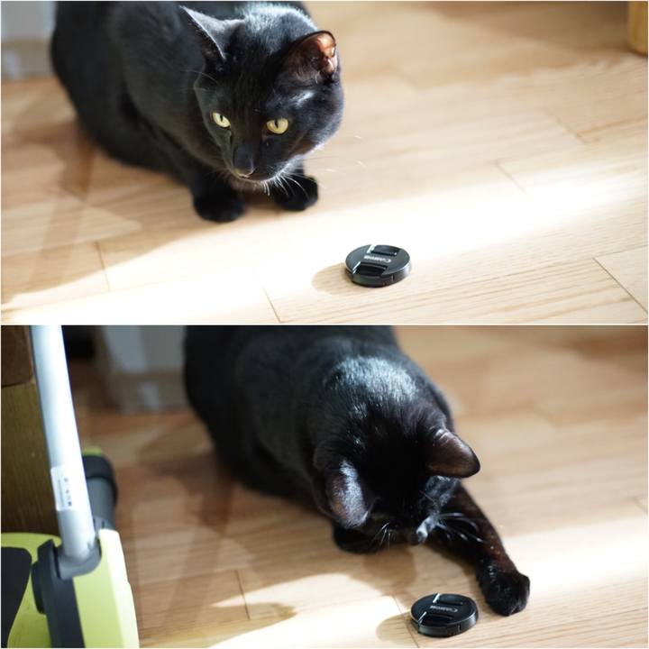 1167fbf4 f5bc 4317 b8a3 9967018bea39 1519947004932