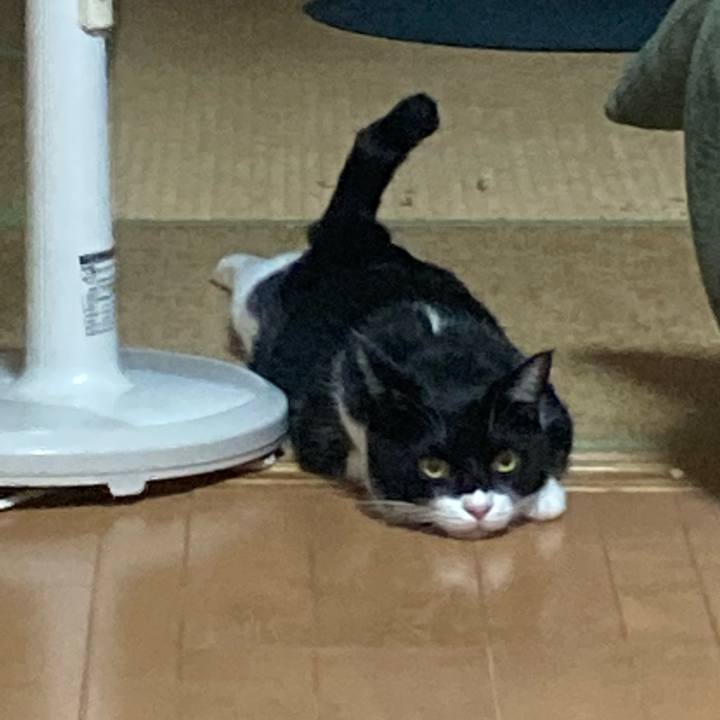 11680837 2e53 459d bd17 ef6bccc24c48 1629986375878