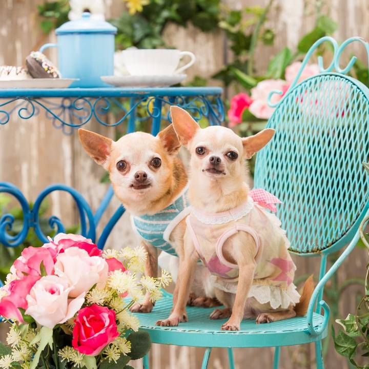 116830bf 8f57 4274 ad77 6bba04a90c43 1529753944633