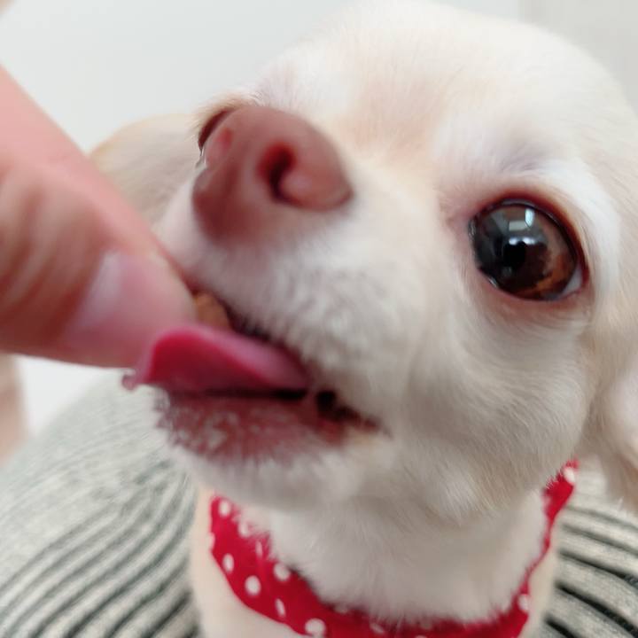 1168542e 1518 447b 80be f0ddf03fd688 1685517556125