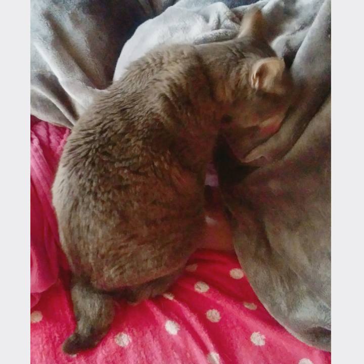 11685b17 a109 488a ac68 5b483fd85758 1524364668527