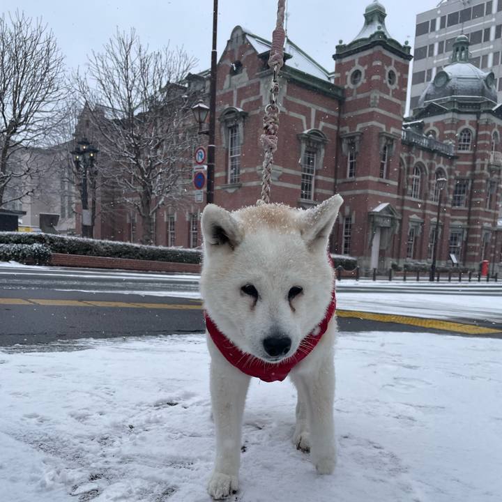 1168671c 30bc 4c53 9339 c6bdd81b22b3 1735454942681