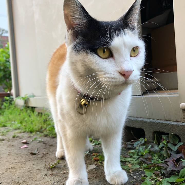 11686999 0968 4db0 9371 69fbd1563ac1 1616710516339