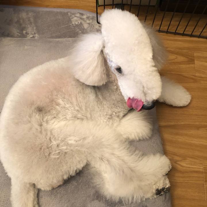 11687510 06fc 4de1 a240 b5a52f56aa90 1678016580909