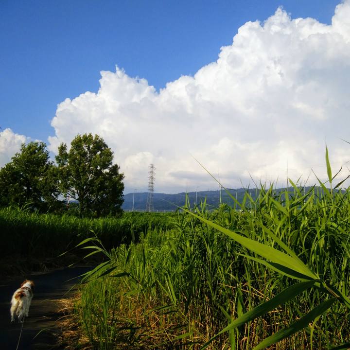 1168894a 07b2 4622 bd5a ec99d6bf1f17 1564055797039