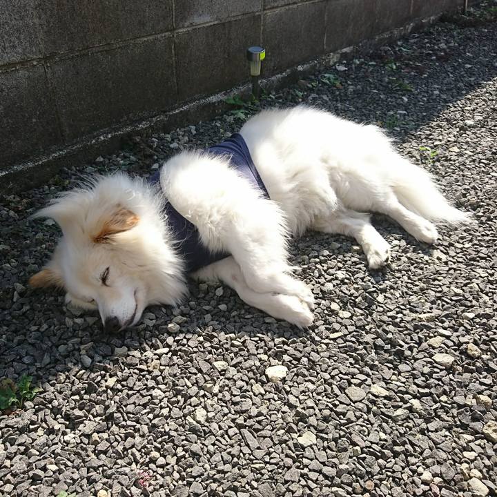 1168af70 596b 400f a496 5378f53f3dc6 1664346864437