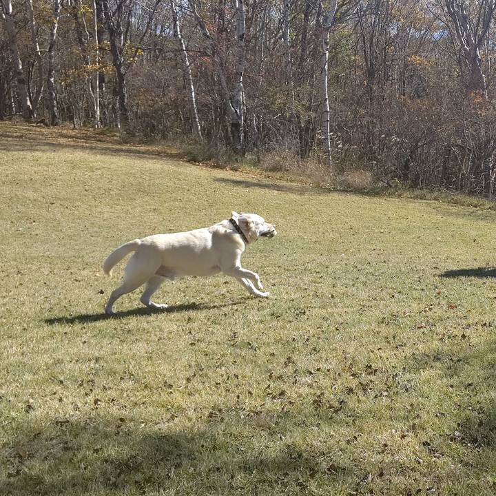 1168e011 efa3 46f6 9774 f47b7051b9f1 1635488760841