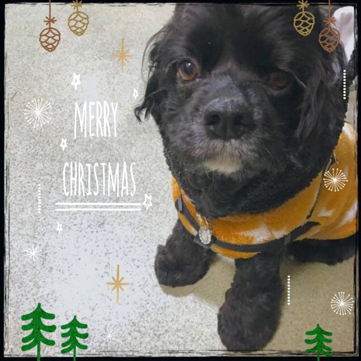 1168e91c d79d 4123 8d5c d6ca2c73a03f 1545641068072