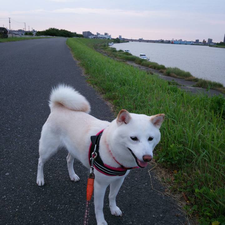 1168f911 be2b 4b97 8142 23d789d9bc5a 1562668383556