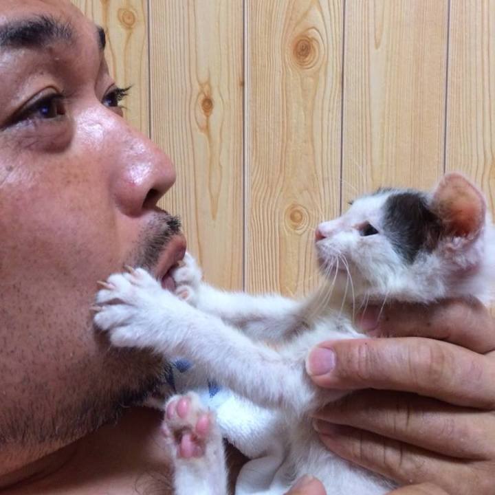 11691bc7 c8e4 4d72 81a9 51635edc0938 1533507373442