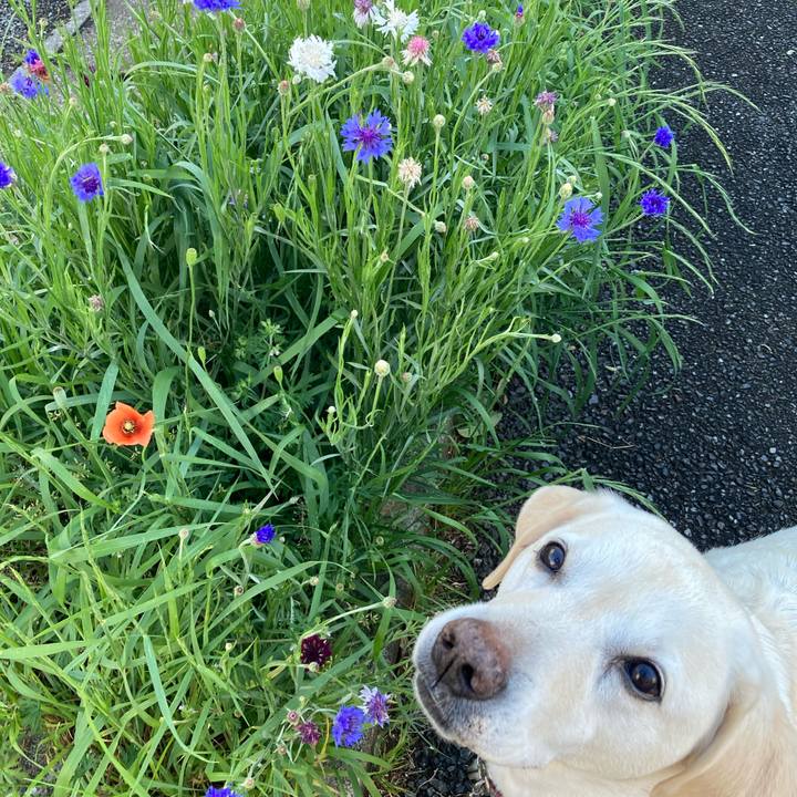 11692b3a 76a6 45d1 9f0c ec30c60e4890 1746322433380