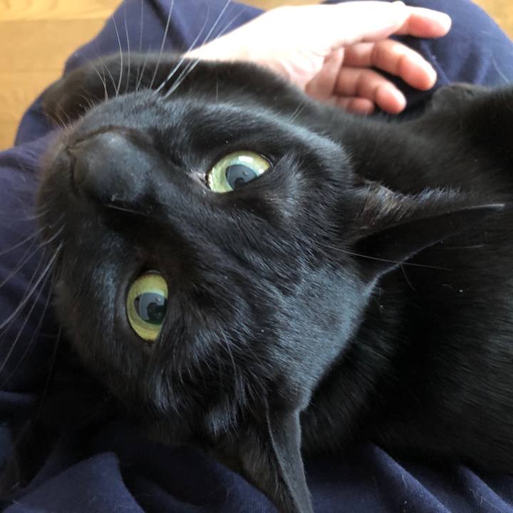 11693736 df8f 4aeb 876b ce0e32371183 1710020002446